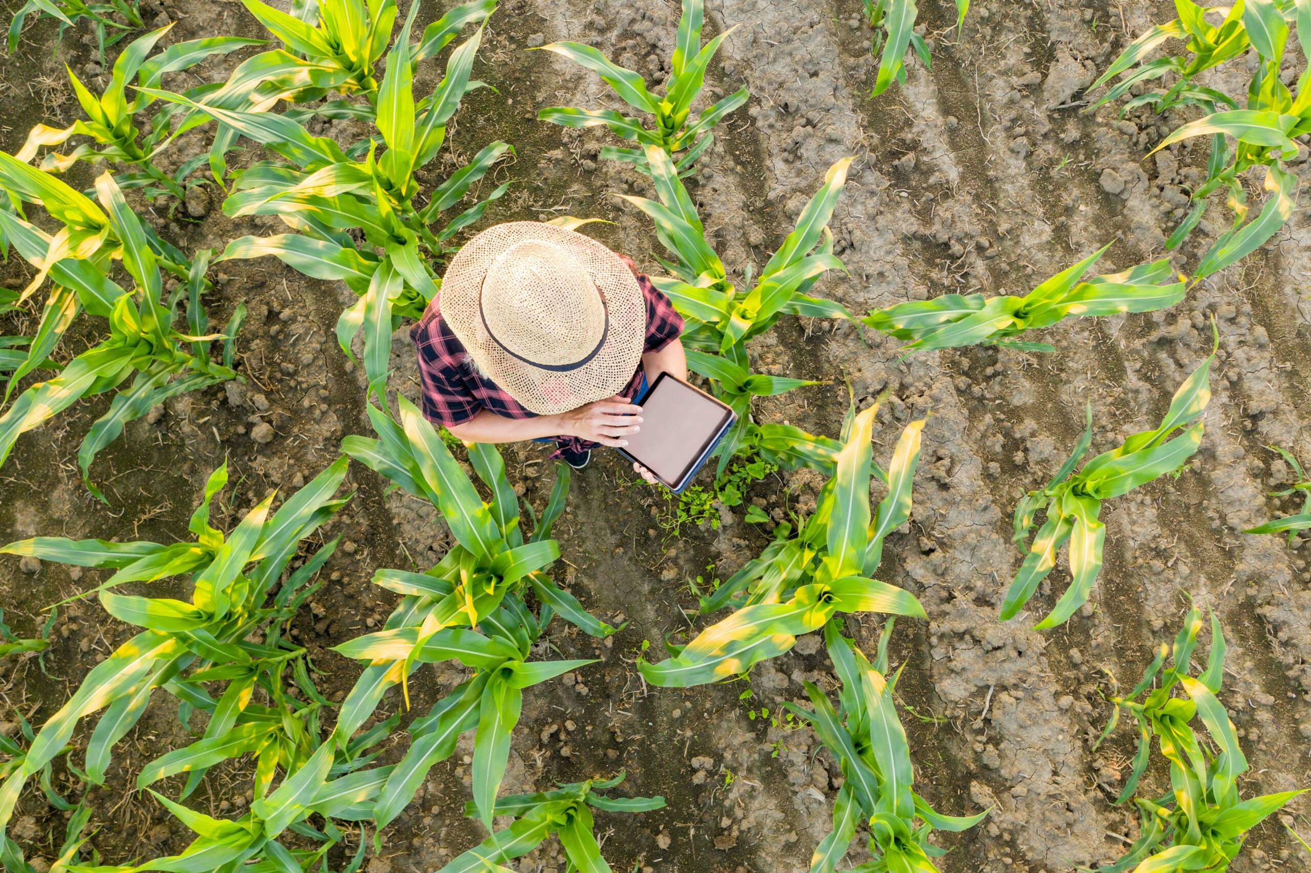 Land- und Forstwirtschaft, Landwirtschaftsrecht: Informationen zur Dokumentationspflicht von Düngemaßnahmen